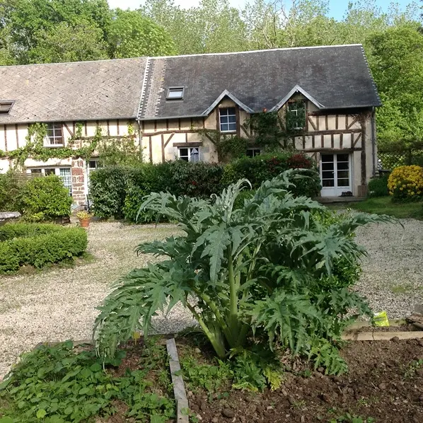 bréhal-meublé-gîte-bleu-1