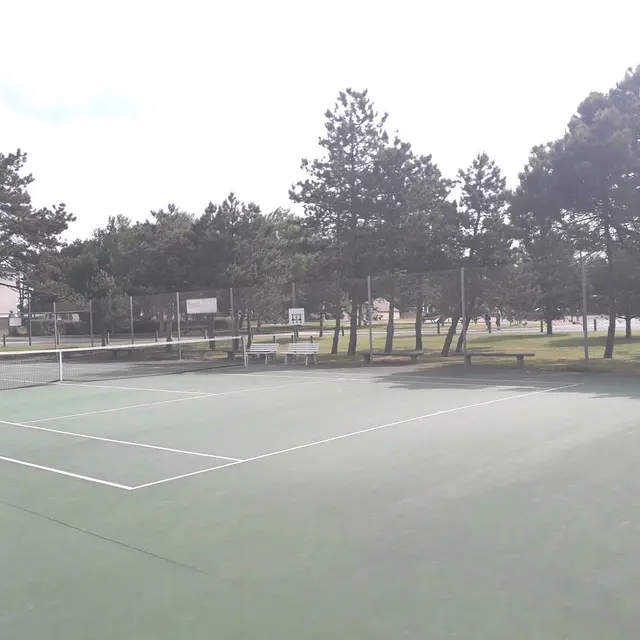 brehal-tennis-1