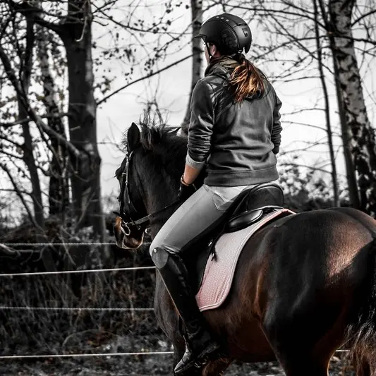centre-equestre-val-de-sienne