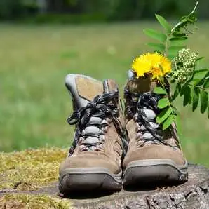 Chaussures de randonnée