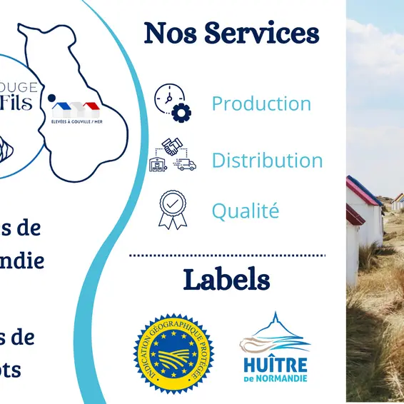commerce ostreiculteur gouville sur mer huitres casrouge (1)