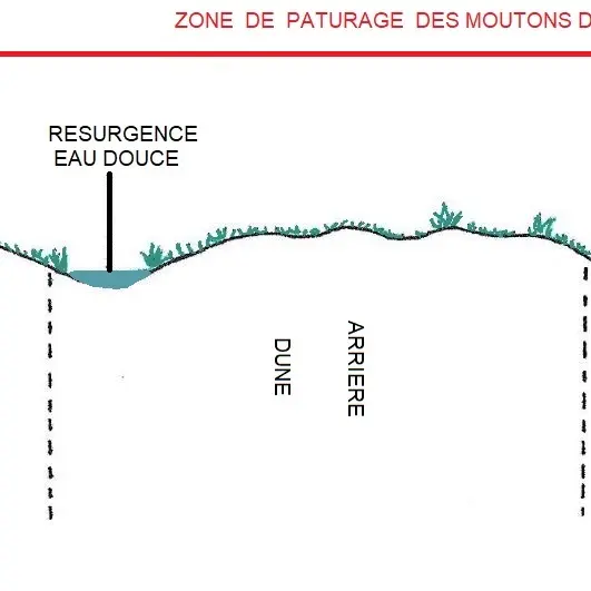 coupe topographique d'O en E du Havre de la Vanlée 04