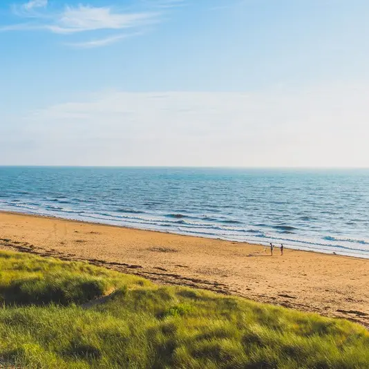 dunes d'Annoville ©Teddy Bear photos -Coutances tourisme