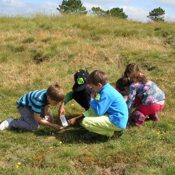 CPIE_Enfants dans dunes (sortie éveil à la nature St Georges)