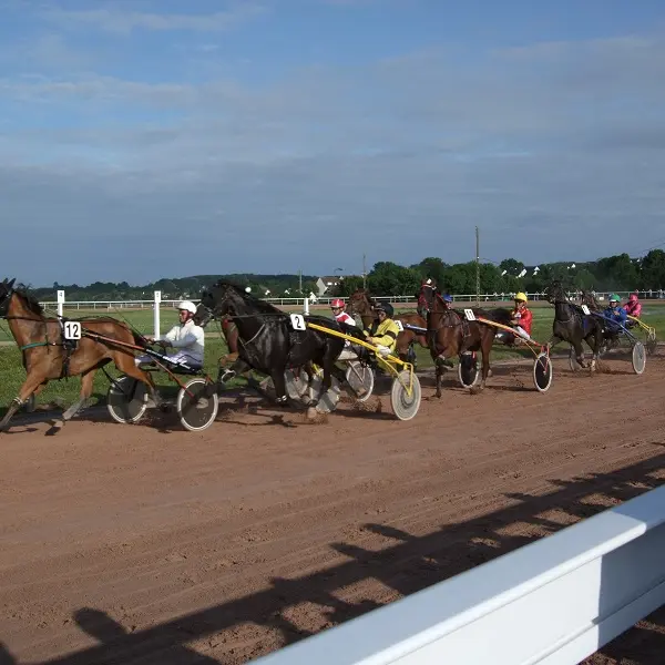 hippodrome villedieu