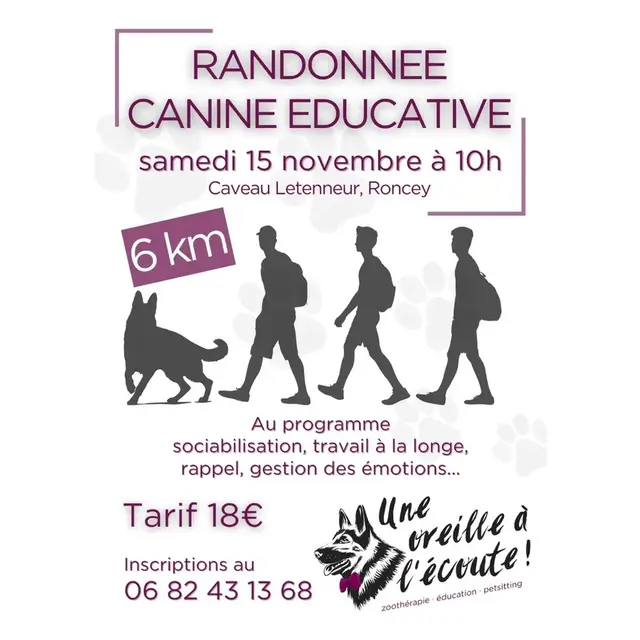 img_2_1762179431366 (1)