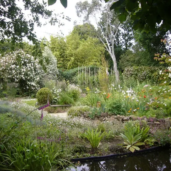 jardin du revers notre dame de cenilly (1)