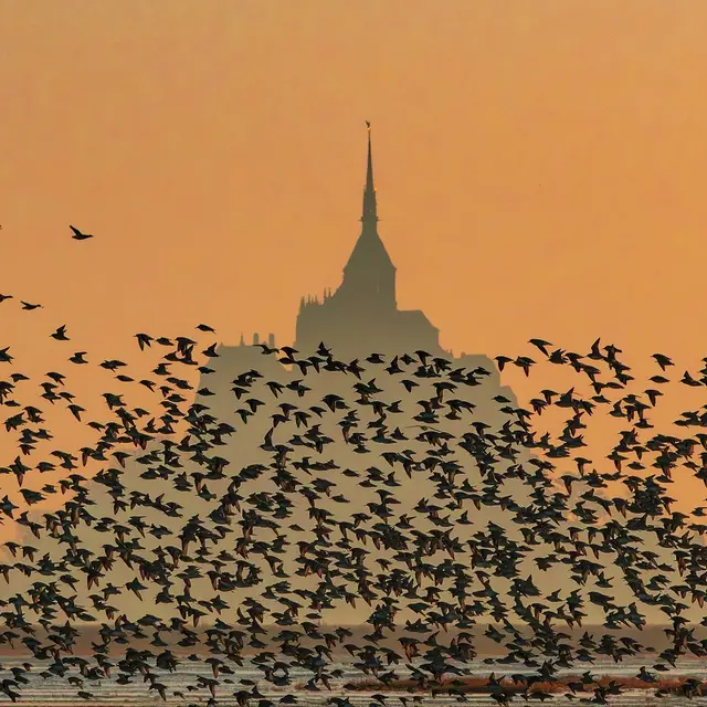 Vains_limi devant le Mont