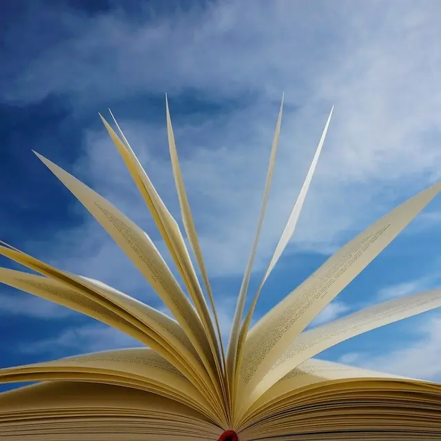 livre*