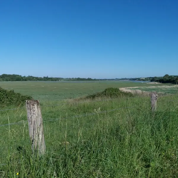 marais heugueville sur sienne coutances tourisme normandie manche (2)