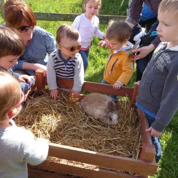 mon petit lapin 2025