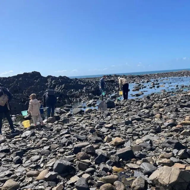 pêche à pied