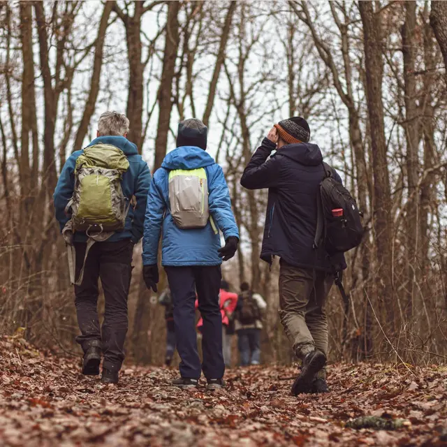 pexels-csibeman-19605131 (1)