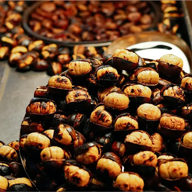 pexels-ahmet-kurt-2147988540-33552542 (1)