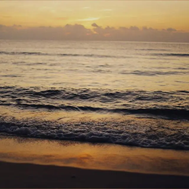 pexels-alexeydemidov-9314031 (1)