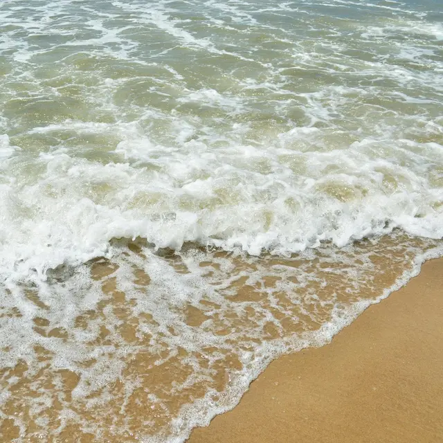 pexels-elisa-pellegrini-1520589154-30315184 (1)