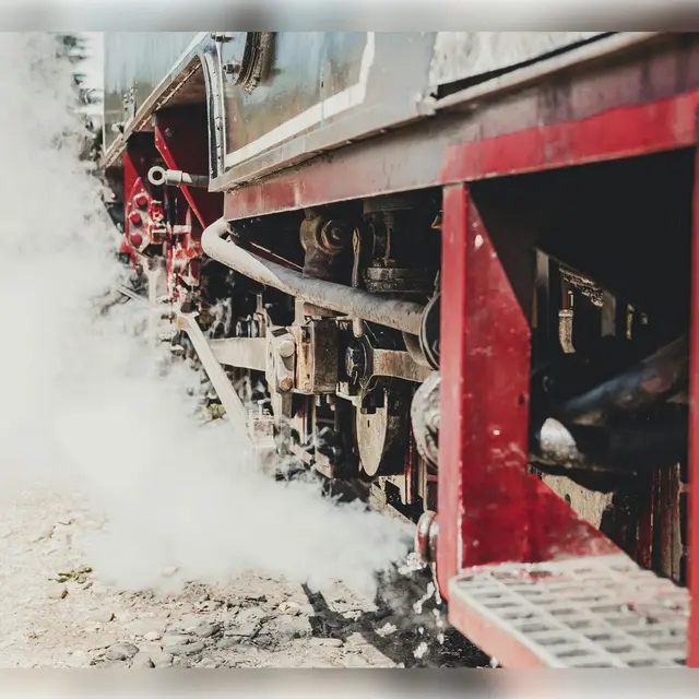 pexels-filip-marcus-adam-3638207-13815759 (1)