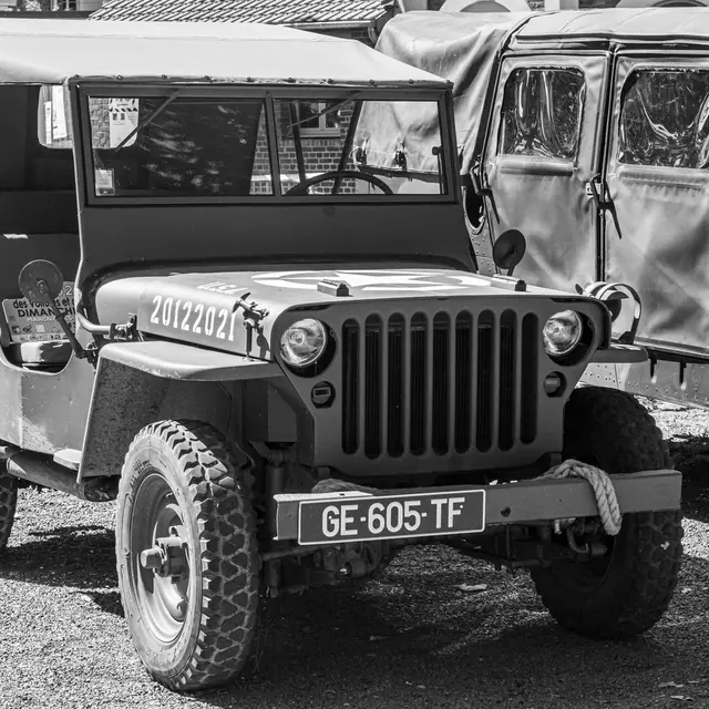pexels-jean-marc-bonnel-387362531-17851957 (1)