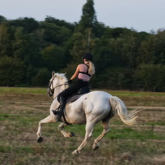 pexels-ollie-craig-5419377 (1)
