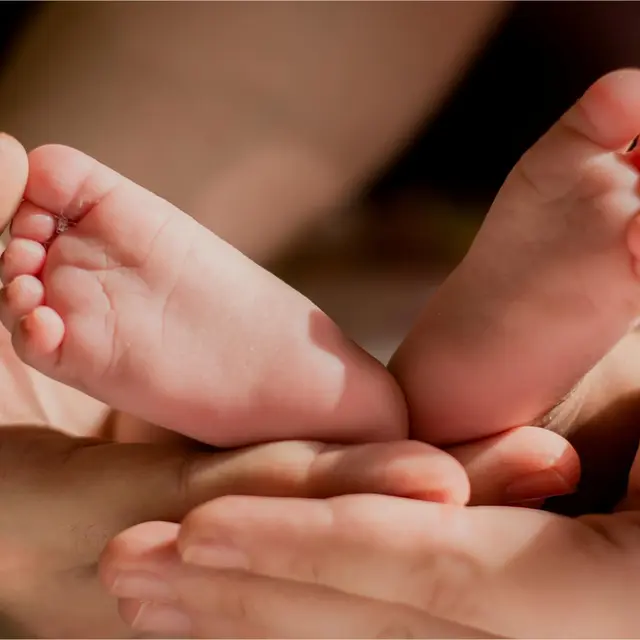 pexels-laura-garcia-1667452-3963709 (1)