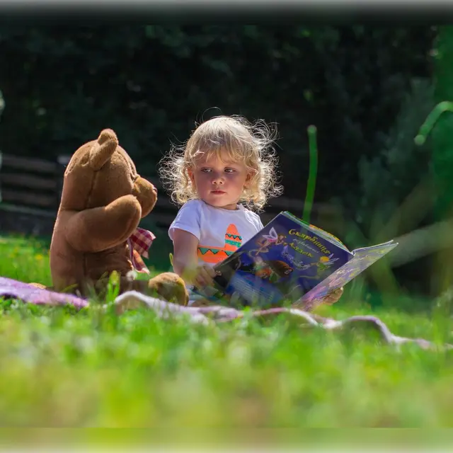 pexels-littlesoad-2803979 (1)