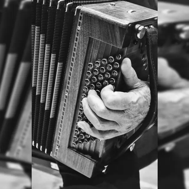 pexels-max-iglesias-a-1656978-3165920 (1)