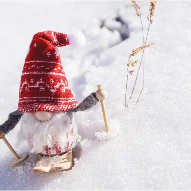 pexels-suju-3151907 (1)