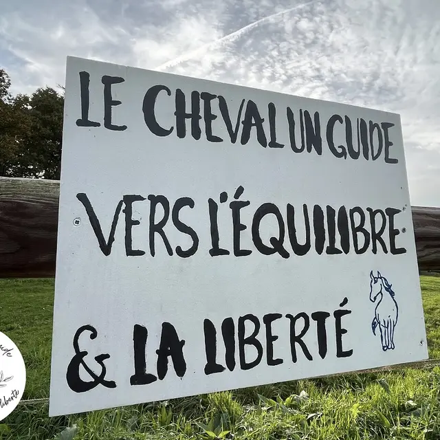 Le cheval un guide