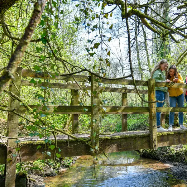 pied_au-fil-de-la-sienne_benoit-croisy_01