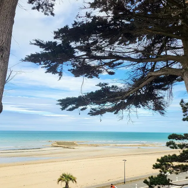 plage-de-donville-les-bains