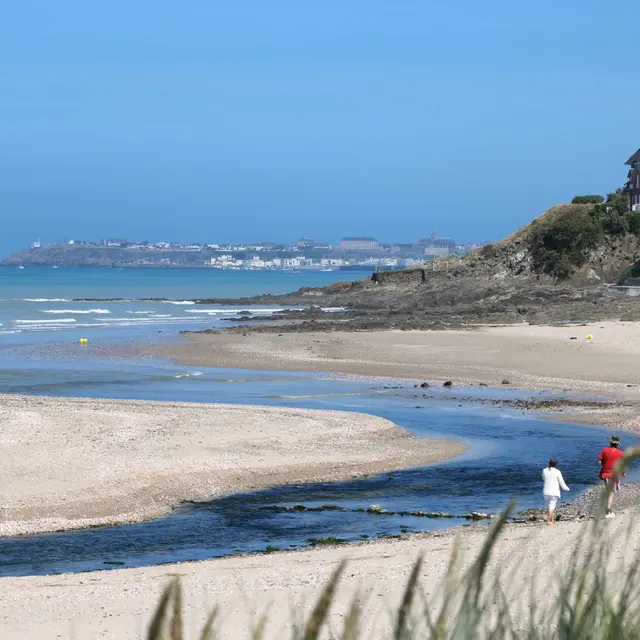 plage-embouchure-thar-02