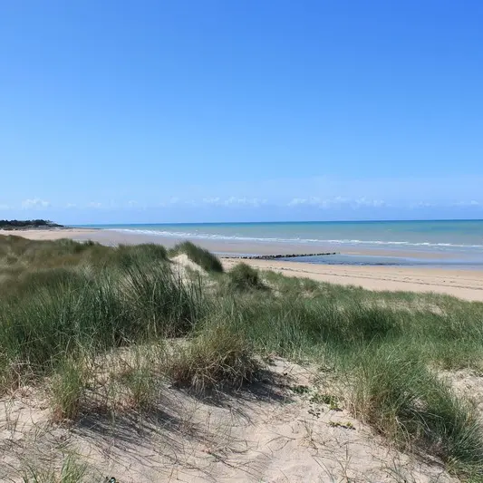 plage montmartin sur mer avril 2017 (36)