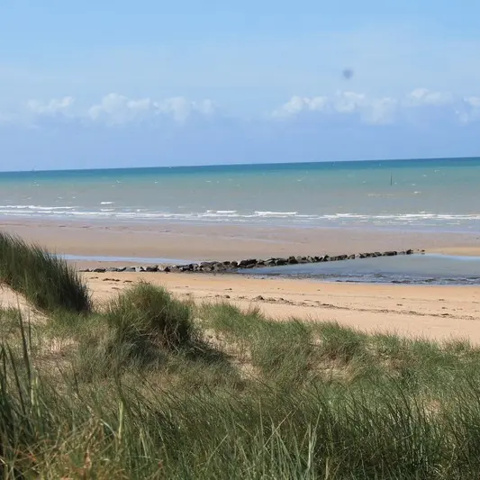 plage montmartin sur mer avril 2017 (37)