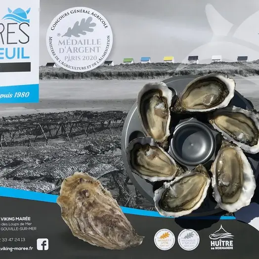 producteur gouville sur emr viking marées huitres (2)