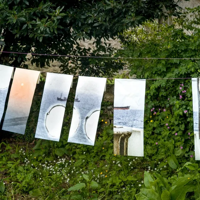 Le trait sous la vague