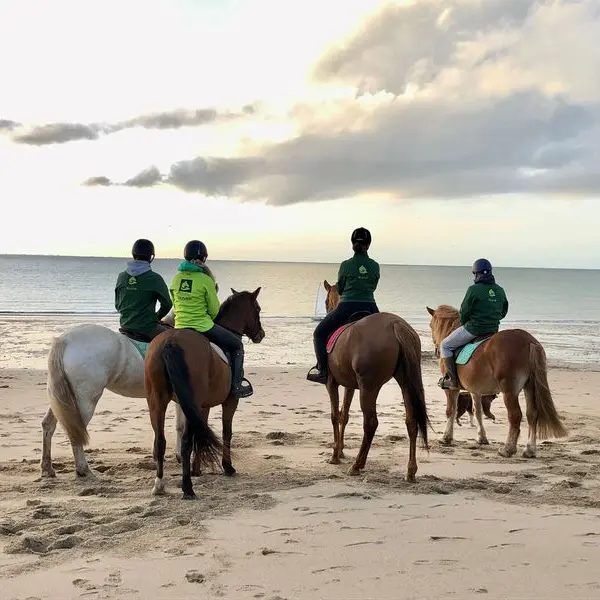 saint-planchers-ecurie-olivier-0