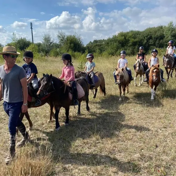 saint-planchers-ecurie-olivier-5