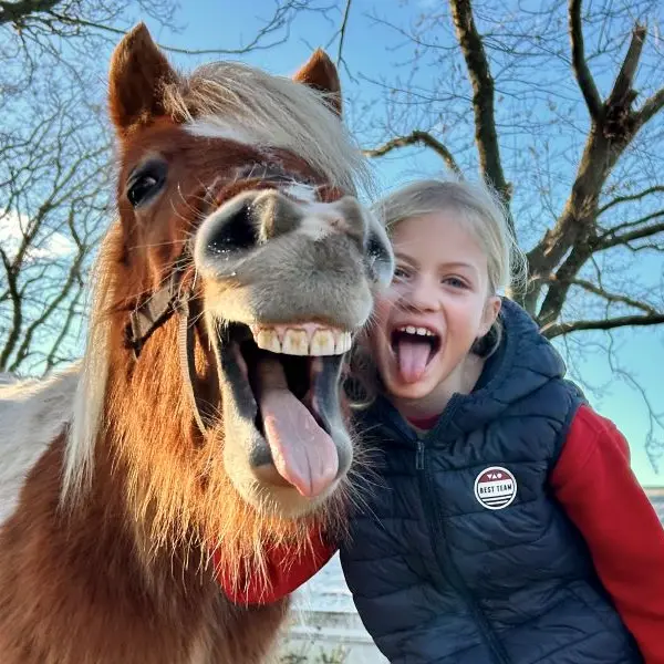 Stage Parc Rêver Réalité