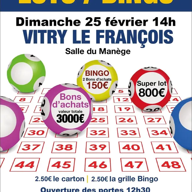 LOTO LION S CLUB VLF