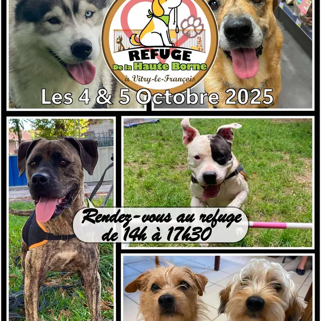 Journées Portes Ouvertes Refuge Hte-Borne