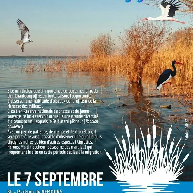 Sortie LPO 7 septembre