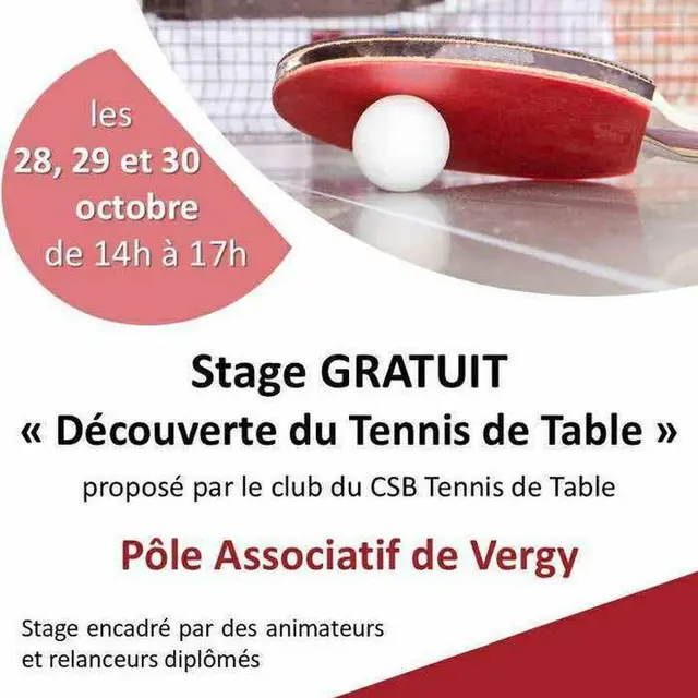 stage tennis de table
