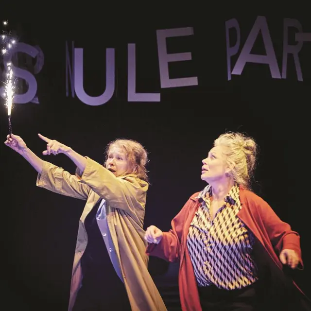 theatre-cinema-oiseau