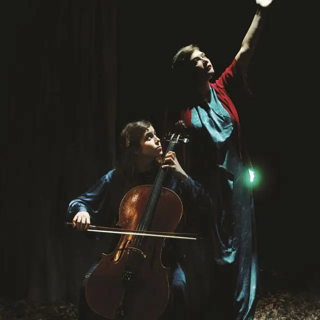 musique-birds-on-a-wire