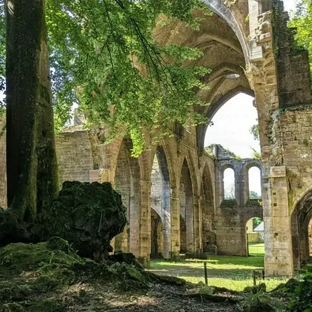 ©Aurélie Boileau - Découvrez une ancienne abbaye cistercienne, entre nature et vestiges, lors d'une visite guidée