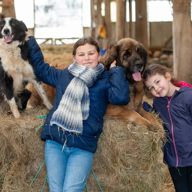 Ferme Pédagogique Perce-Neige