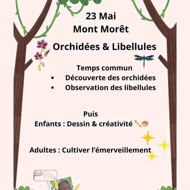 Animation nature famille - orchidées et libellules