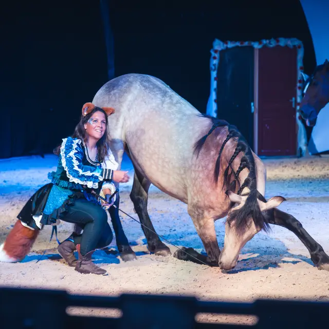 Théâtre Equestre de Champagne