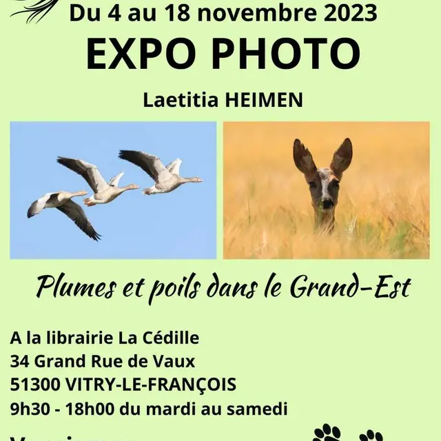 EXPO LAETITIA HEIMEN LA CEDILLE VLF