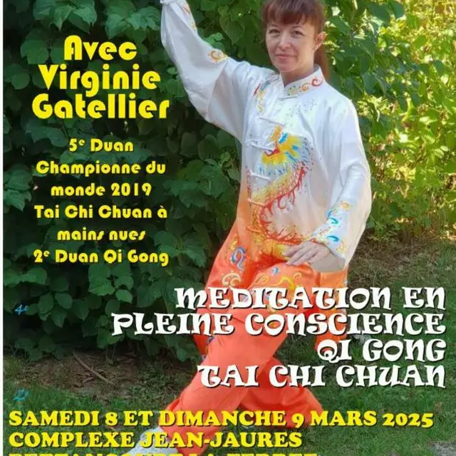 tai chi chuan